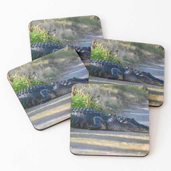 Item preview, Nap time  designed and sold by Glennphotos.