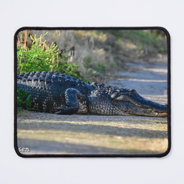 Item preview, Nap time designed and sold by Glennphotos.