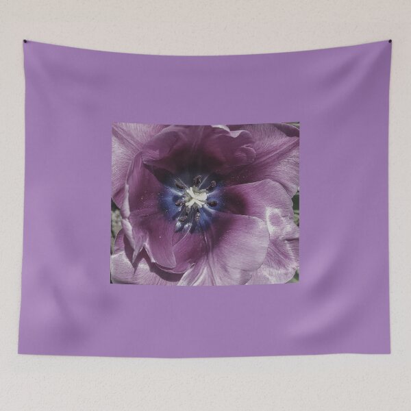 Item preview, PURPLE TULIP FLOWER MACRO designed and sold by Richard Brookes Photography.