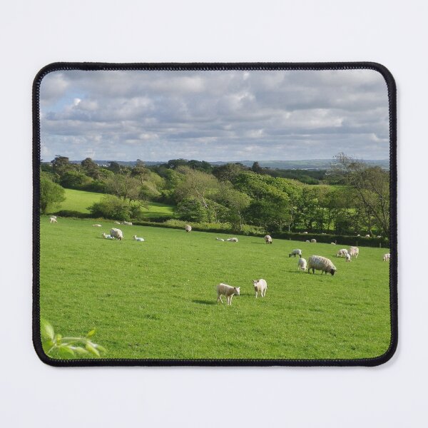 Item preview, SHEEP IN RURAL SPRING GREEN LANDSCAPE CORNWALL designed and sold by Richard Brookes Photography.