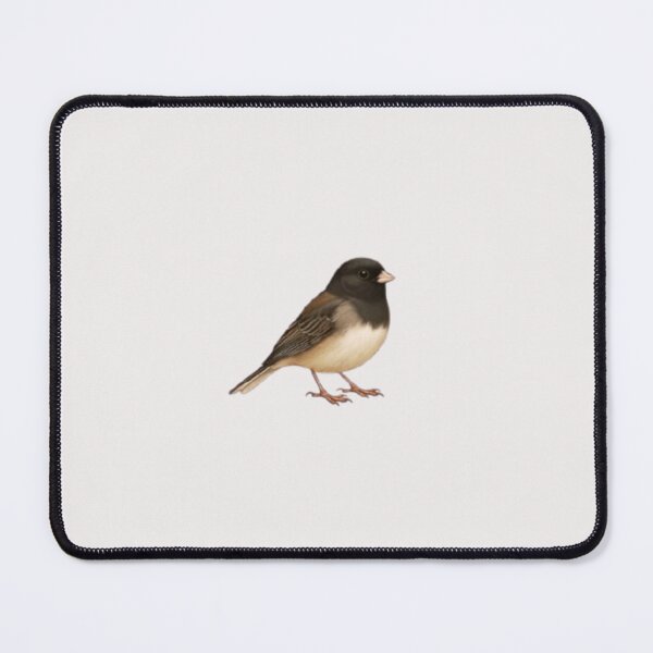 Item preview, Dark-Eyed Junco sticker designed and sold by mariana adel.