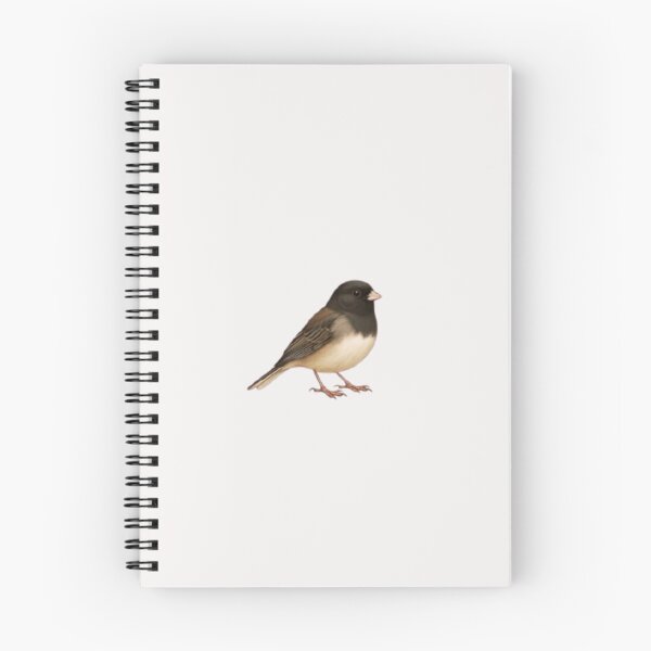 Item preview, Dark-Eyed Junco sticker designed and sold by mariana adel.