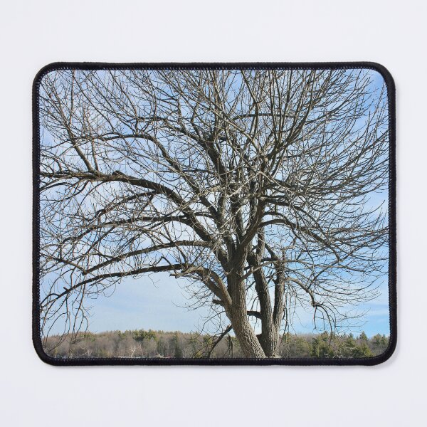 Item preview, Sentinel Above the Valley designed and sold by recoveringartist.