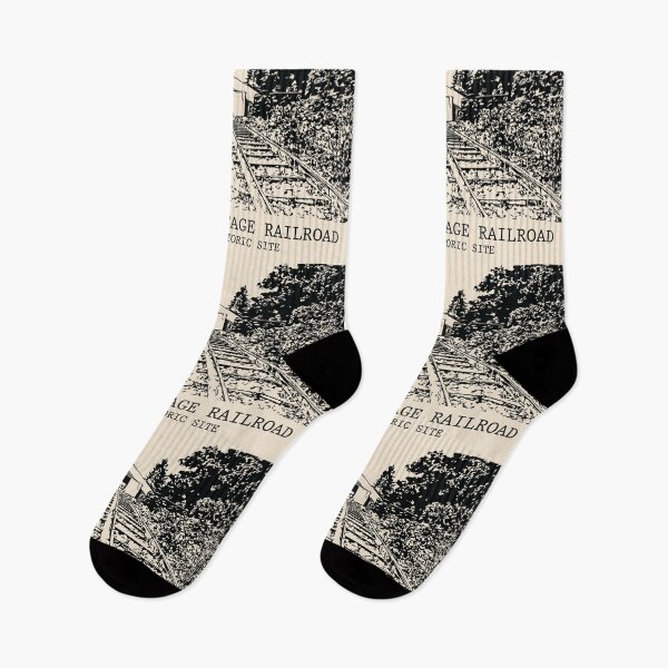 Item preview, Allegheny Portage Railroad National Historic Site designed and sold by Lakeric Cityscapes.