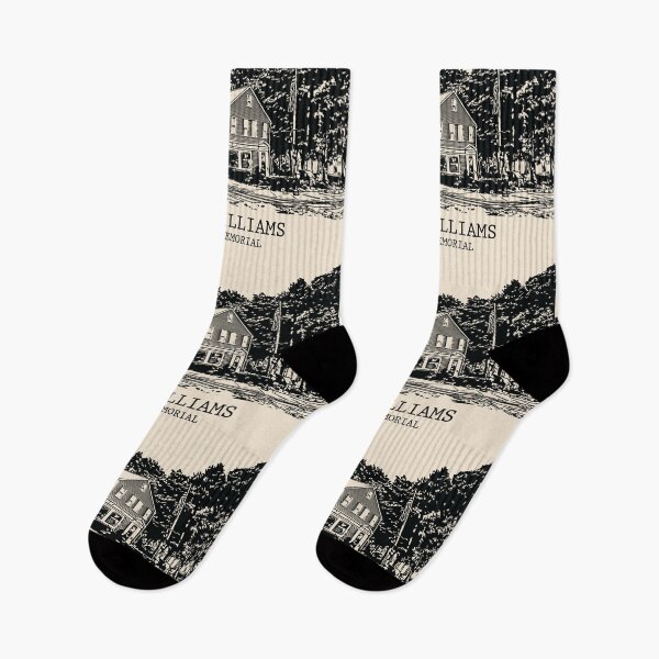 Item preview, Roger Williams National Memorial designed and sold by Lakeric Cityscapes.