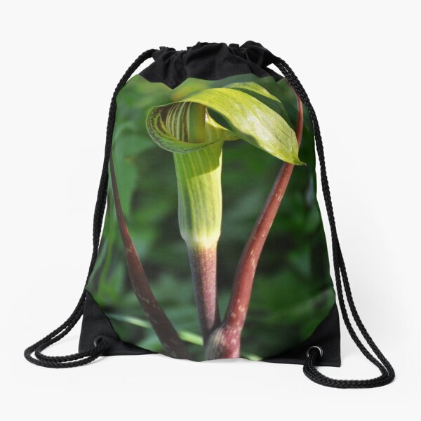 Jack Drawstring Bag