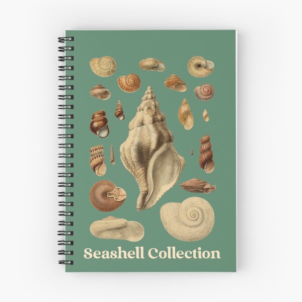 Item preview, Vintage Seashell Collection  designed and sold by Rockyctees.