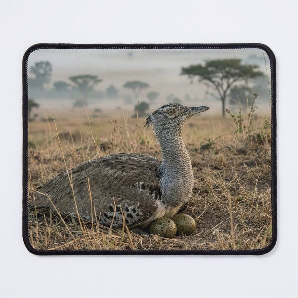 Item preview, Kori Bustard on African Savannah designed and sold by Tridentulus.