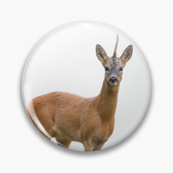 Item preview, Roe deer #3 designed and sold by The Adventure Never Ends !!!.