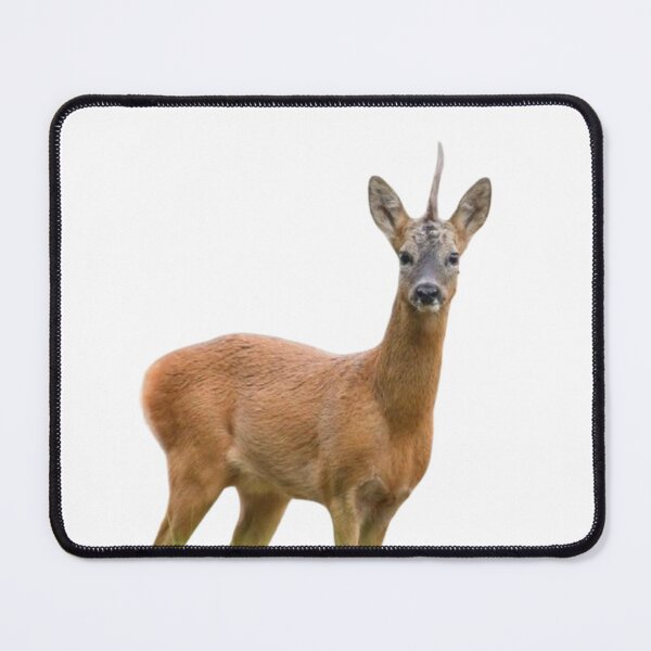 Item preview, Roe deer #3 designed and sold by The Adventure Never Ends !!!.