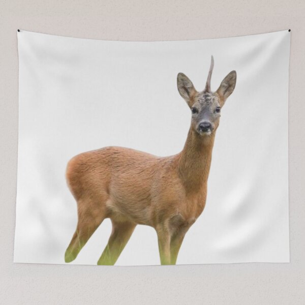 Item preview, Roe deer #3 designed and sold by The Adventure Never Ends !!!.