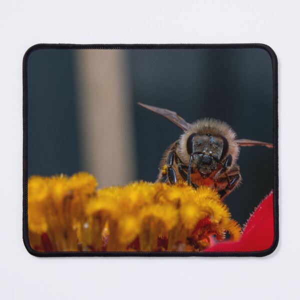 Item preview, Bee on flower designed and sold by GardenMacro.