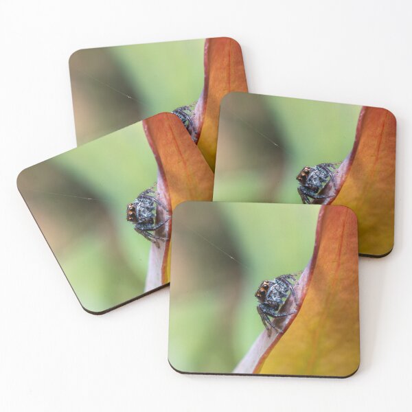 Item preview, Jumping Spider saying hi! designed and sold by GardenMacro.
