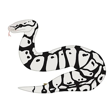 Artwork thumbnail, axanthic ball python by tailswoosh