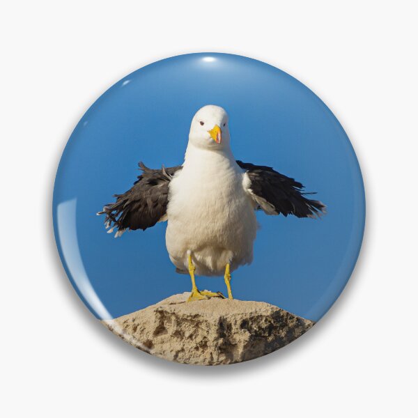 Item preview, Pacific Gull designed and sold by Windswell.