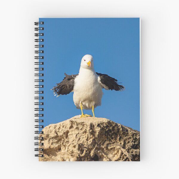 Item preview, Pacific Gull designed and sold by Windswell.