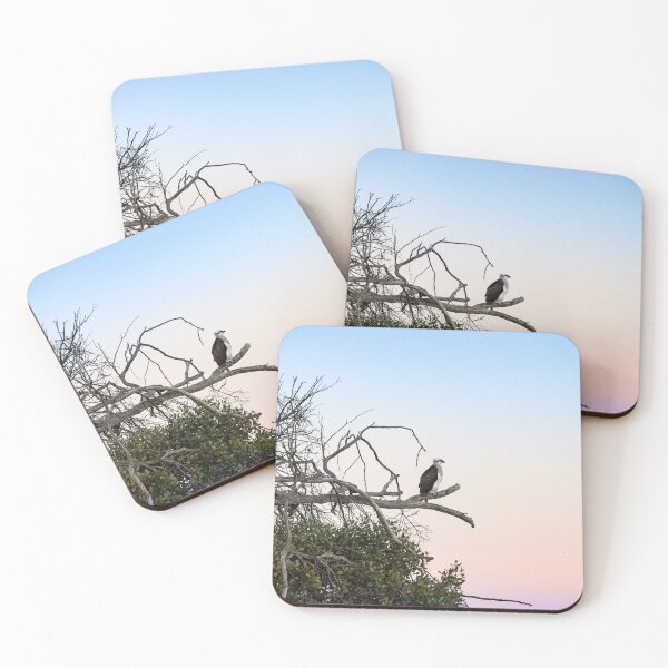 Item preview, Osprey at sunrise designed and sold by Windswell.