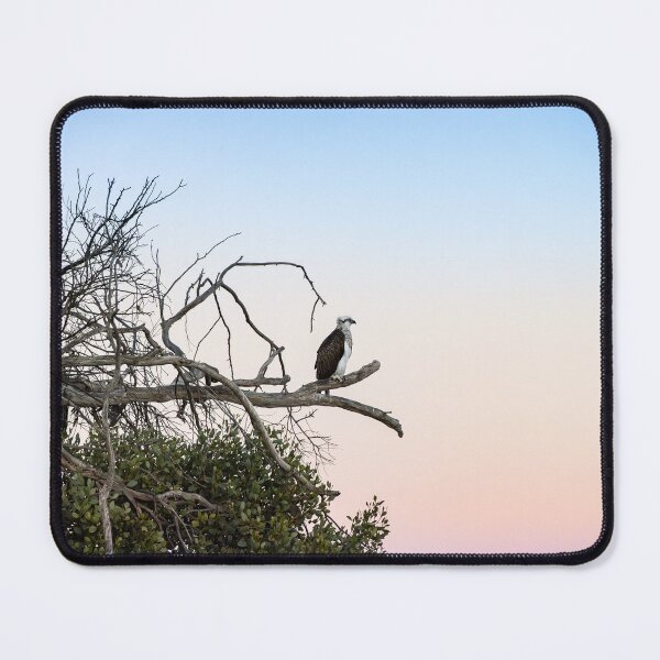 Item preview, Águila pescadora al amanecer designed and sold by Windswell.