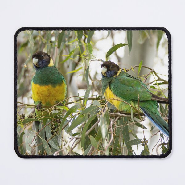 Item preview, Two twenty-eight parrots, parent and young designed and sold by Windswell.