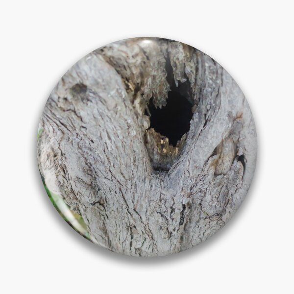 Item preview, Weathered Tree Trunk With Hollow Cavity In Natural Outdoor Setting designed and sold by Nmallia.