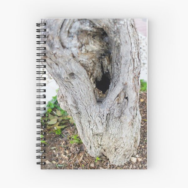 Item preview, Weathered Tree Trunk With Hollow Cavity In Natural Outdoor Setting designed and sold by Nmallia.