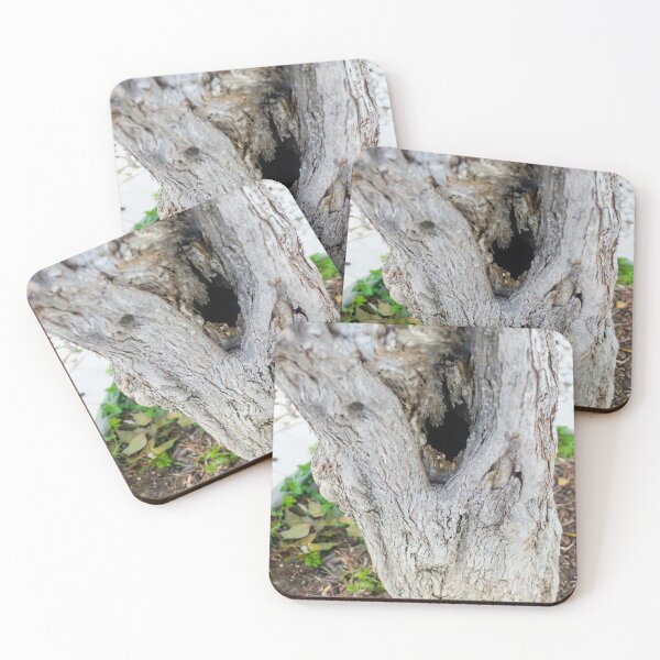 Item preview, Weathered Tree Trunk With Hollow Cavity In Natural Outdoor Setting designed and sold by Nmallia.