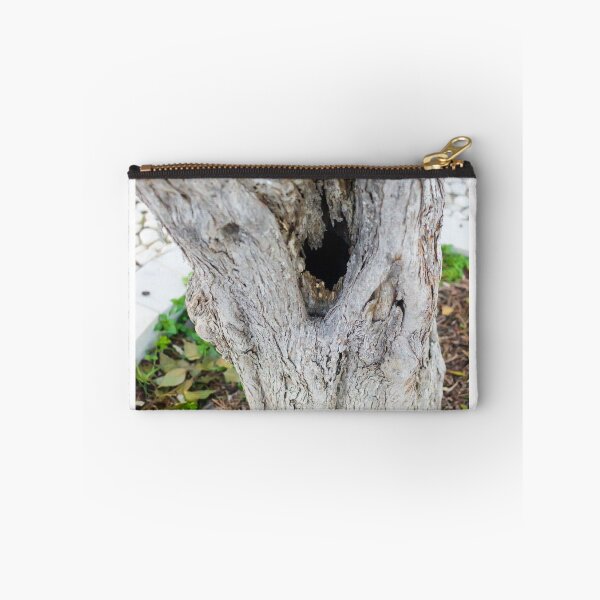 Item preview, Weathered Tree Trunk With Hollow Cavity In Natural Outdoor Setting designed and sold by Nmallia.
