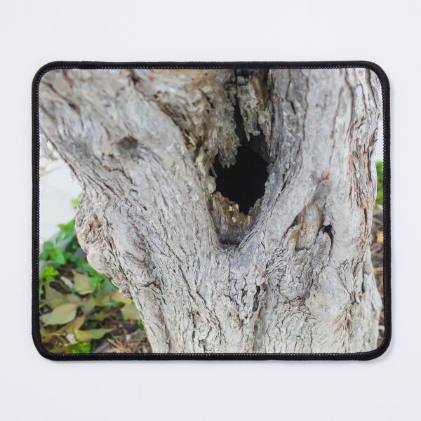Item preview, Weathered Tree Trunk With Hollow Cavity In Natural Outdoor Setting designed and sold by Nmallia.