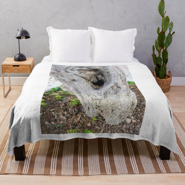 Item preview, Weathered Tree Trunk With Hollow Cavity In Natural Outdoor Setting designed and sold by Nmallia.