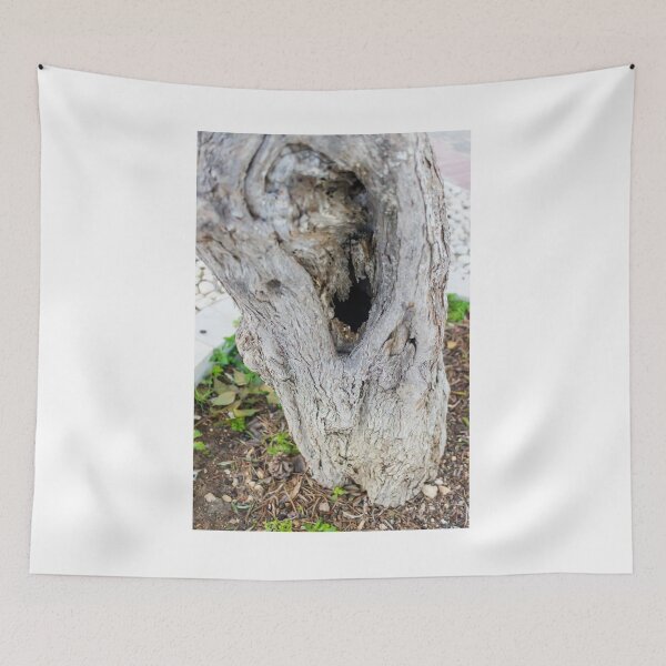 Item preview, Weathered Tree Trunk With Hollow Cavity In Natural Outdoor Setting designed and sold by Nmallia.
