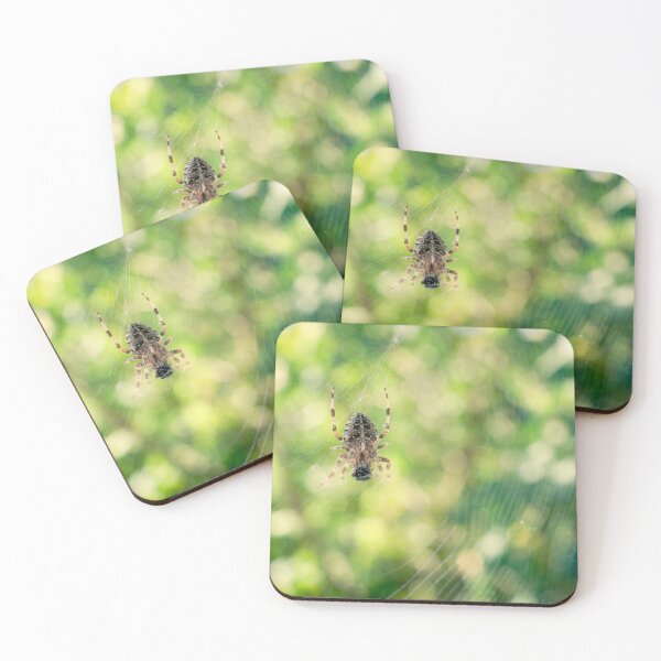 Item preview, Beautiful garden spider in the greenery designed and sold by TW-Fotos.