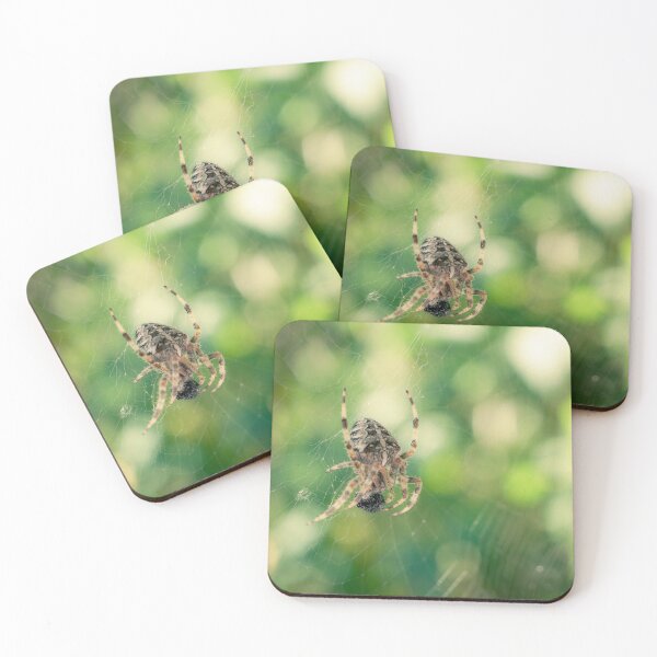 Item preview, Garden cross spider in its web designed and sold by TW-Fotos.