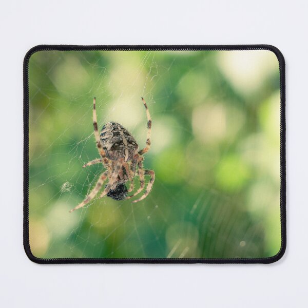 Item preview, Garden cross spider in its web designed and sold by TW-Fotos.