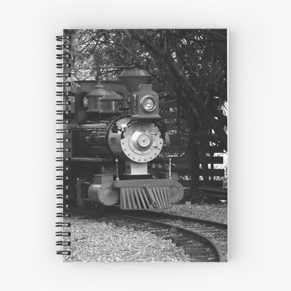 Item preview, Steam Train Hidden in the Woods designed and sold by MercerImages.