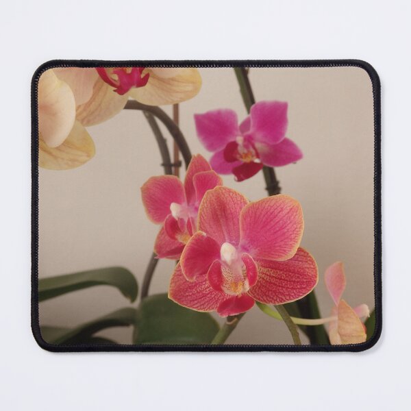 Item preview, Orchid composition designed and sold by Betulek.