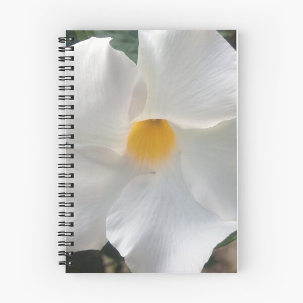 Item preview, White Mandeville Flower designed and sold by Christine "Xine" Segalas.