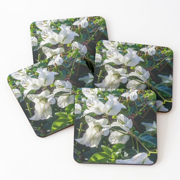 Item preview, White Bougainvillea Flowers Among Green Leaves in a Sunlit Garden Setting designed and sold by Nmallia.