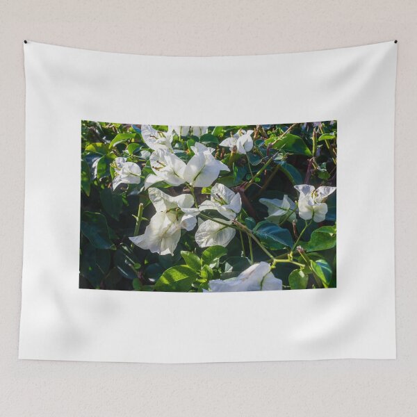 Item preview, White Bougainvillea Flowers Among Green Leaves in a Sunlit Garden Setting designed and sold by Nmallia.