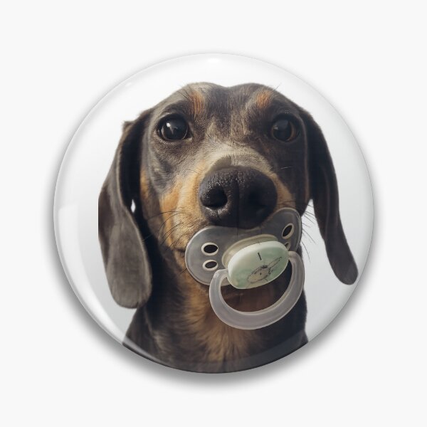 Item preview, Big bobo dachshund designed and sold by Abi & Emi Core.
