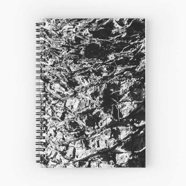 Item preview, Close-Up Black And White Tree Bark Texture With Knotted, Weathered Wood Details designed and sold by Nmallia.