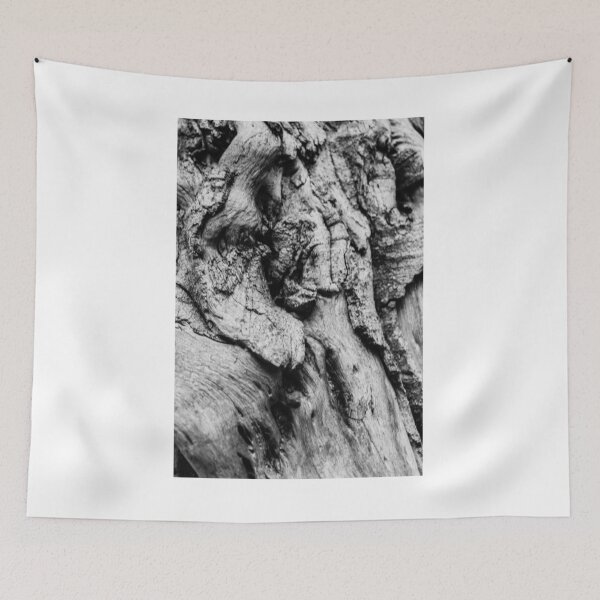 Item preview, Close-Up Black And White Tree Bark Texture With Knotted, Weathered Wood Details designed and sold by Nmallia.