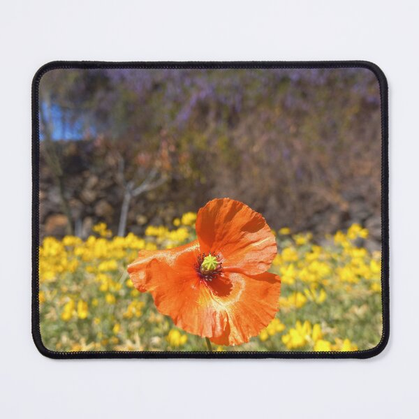 Item preview, Spring on La Palma designed and sold by birgitsfotoshop.