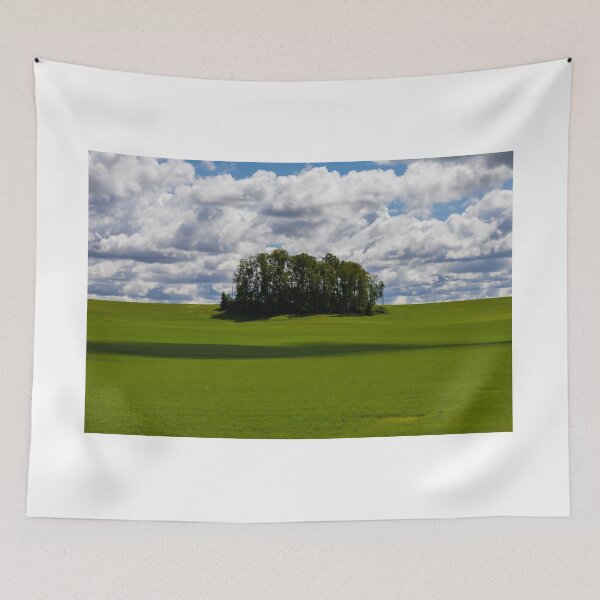 Item preview, Lone Trees on Rolling Green Field designed and sold by Photography by Horia.