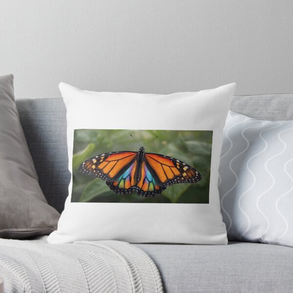 Item preview, The rainbow butterfly designed and sold by Rêve-la-vie.