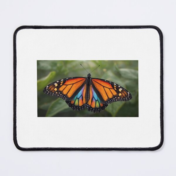 Item preview, The rainbow butterfly designed and sold by Rêve-la-vie.
