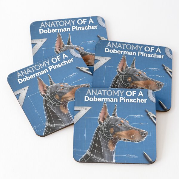 Item preview, ANATOMY OF A DOBERMAN PINSCHER // CRANIAL FOCUS (RIGHT PROFILE) designed and sold by Ink & Iron Studio.