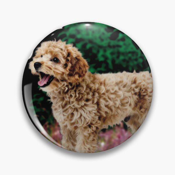 Item preview, Poodle – (digital watercolor style (HRS.) designed and sold by Alan-David.