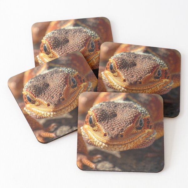 Item preview, gecko macro designed and sold by tipitoes.