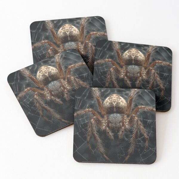 Item preview, spider macro designed and sold by tipitoes.