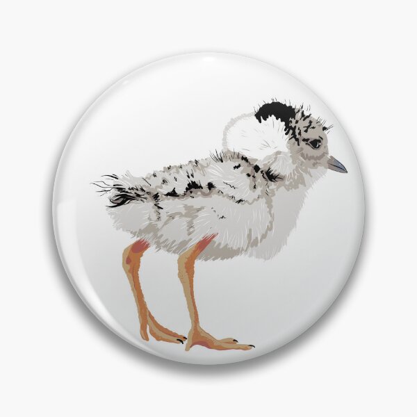 Item preview, Hooded Plover Chicks designed and sold by Barbara Botanica Australis.
